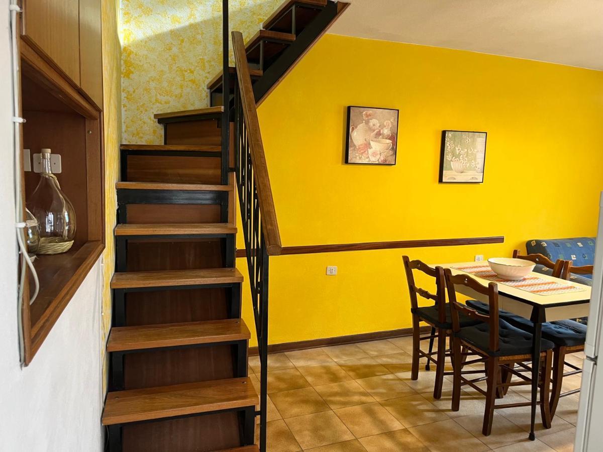 Little Flower Apartment Corfino Dış mekan fotoğraf